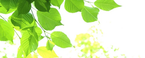 遺品整理110番販売サイトへ